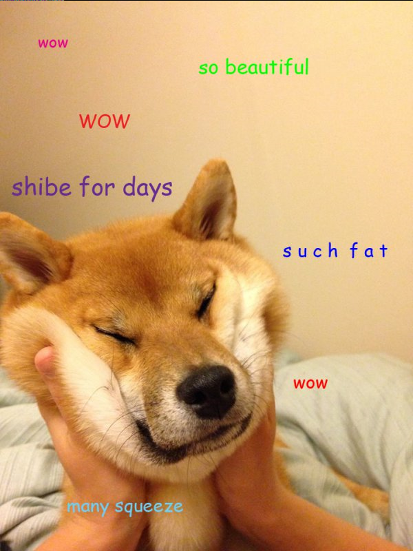 Attached Image