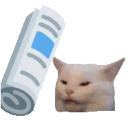 Attached Image