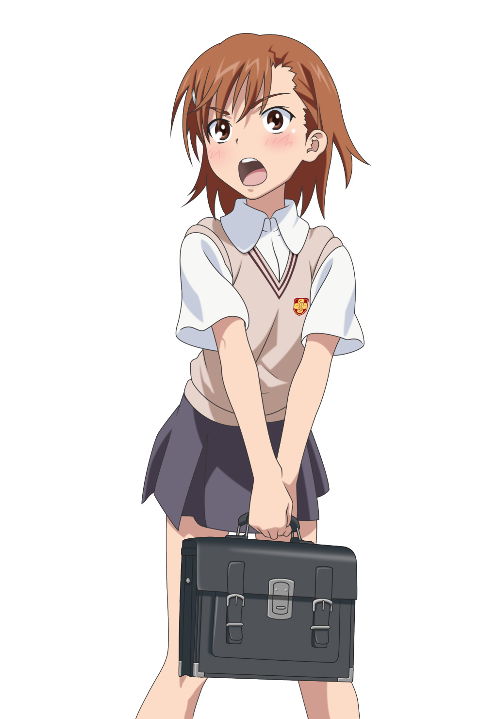 Attached Image