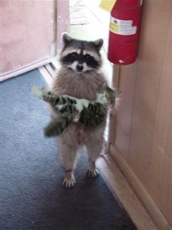 Attached Image