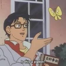Attached Image
