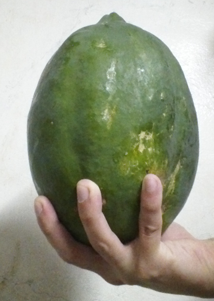 Attached Image