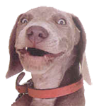 Attached Image