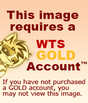 Attached Image