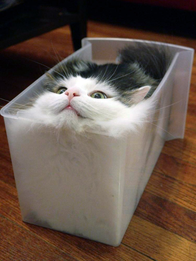 Attached Image