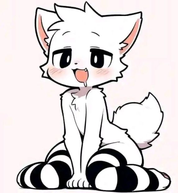 Attached Image