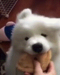 Attached Image