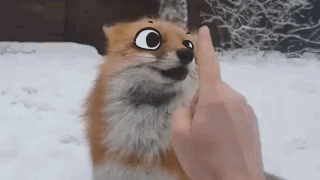 Attached Image