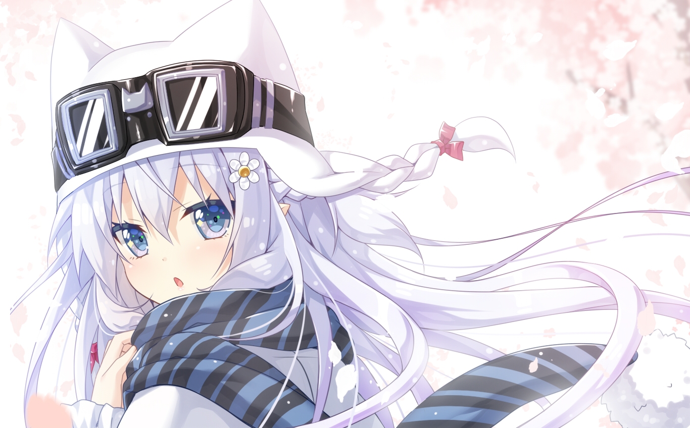 Attached Image