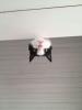Attached Image