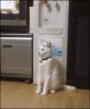 Attached Image