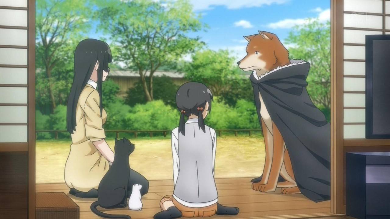 Attached Image