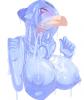 Attached Image