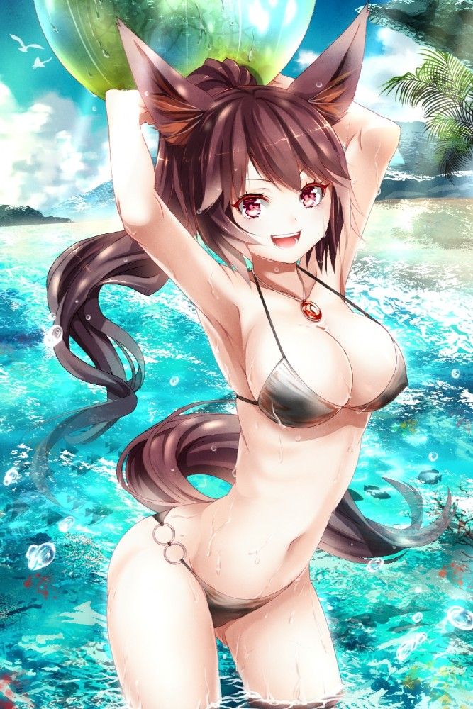 Attached Image