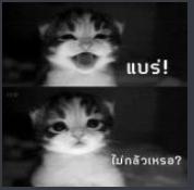 Attached Image