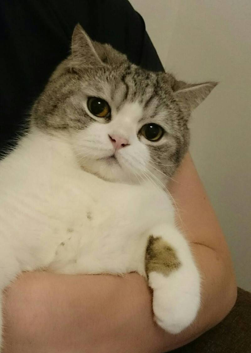 Attached Image