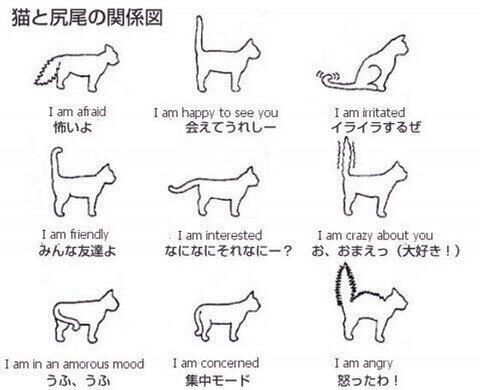 Attached Image