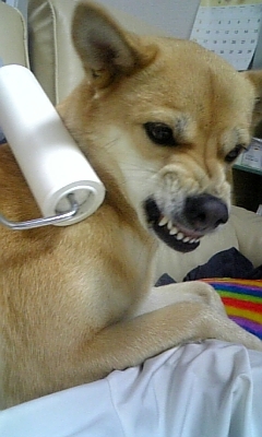 Attached Image