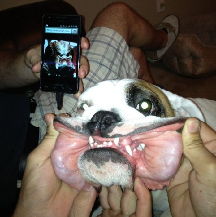 Attached Image