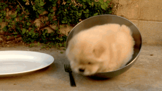 Attached Image