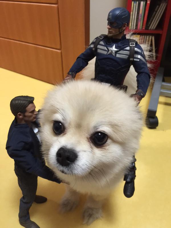 Attached Image