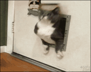 Attached Image