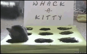 Attached Image