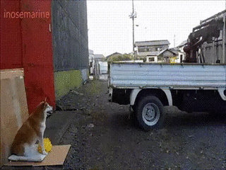Attached Image
