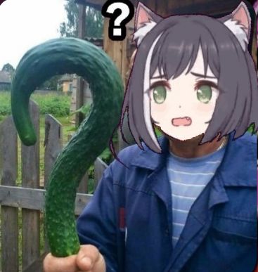 Attached Image