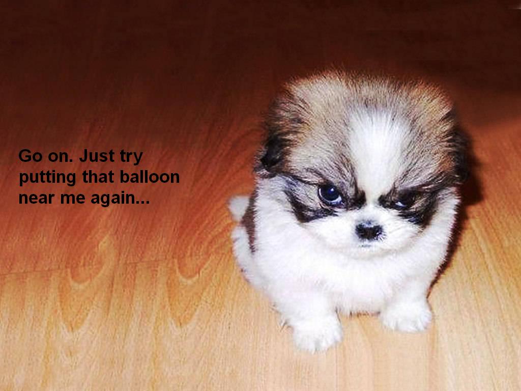 Attached Image