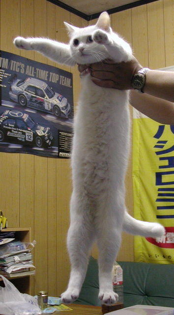 Attached Image