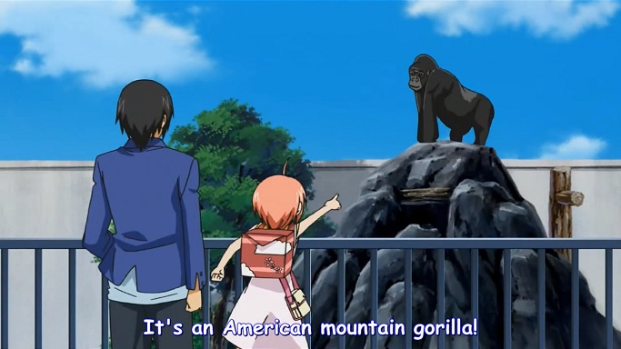 Attached Image