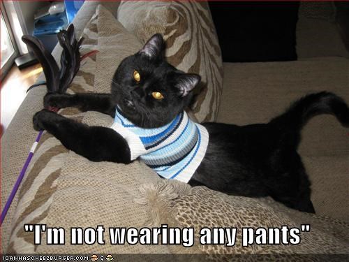 Attached Image