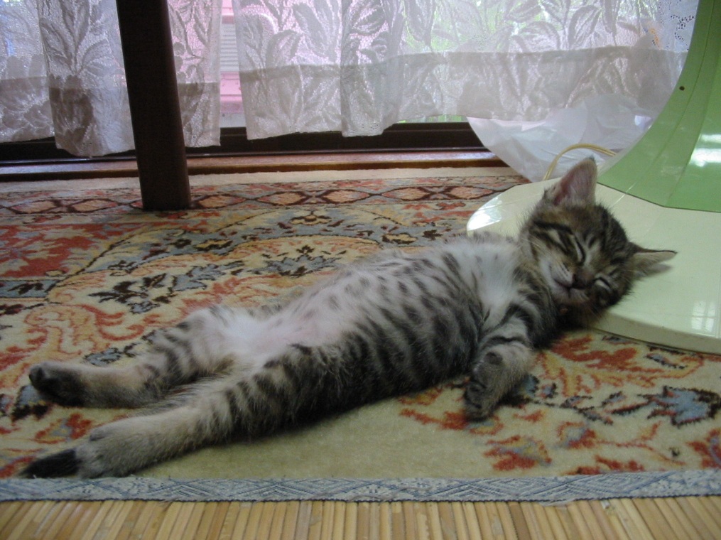 Attached Image