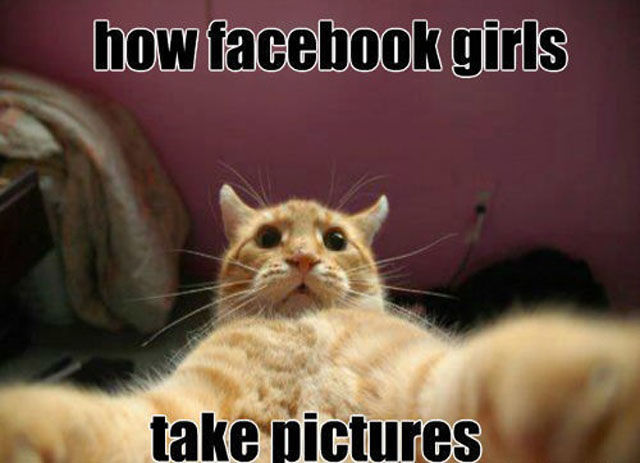 Attached Image