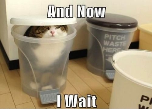 Attached Image