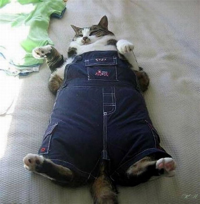 Attached Image