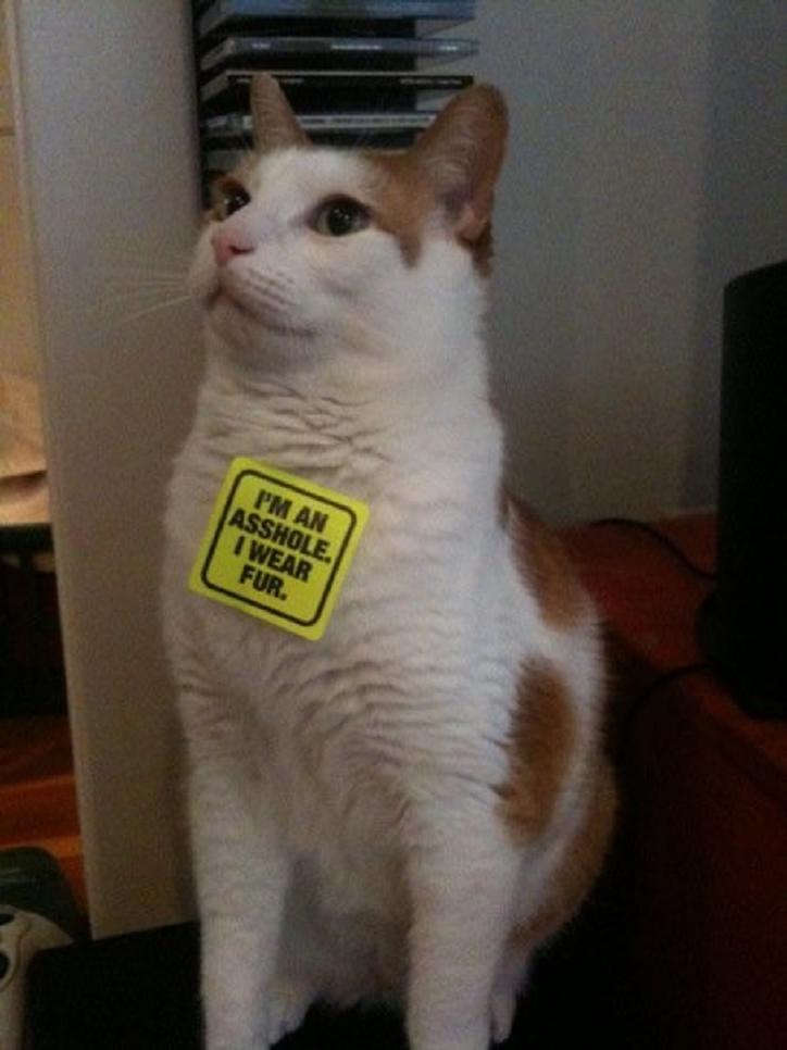 Attached Image
