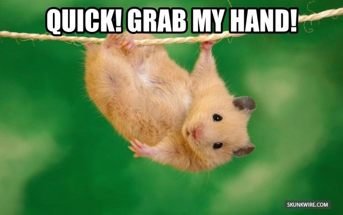 Attached Image