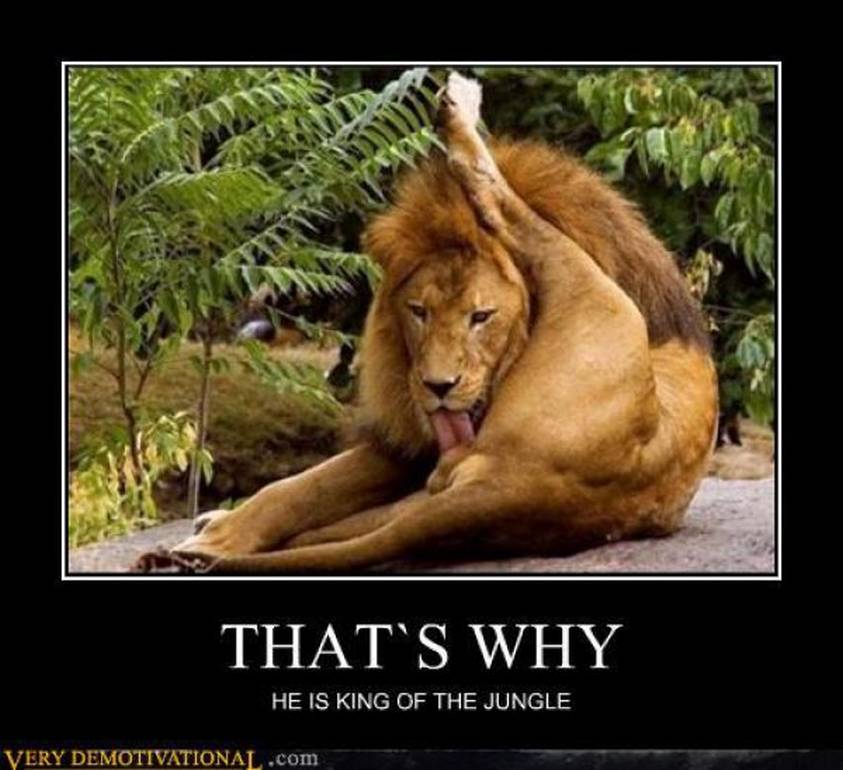Attached Image