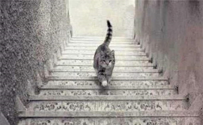 Attached Image