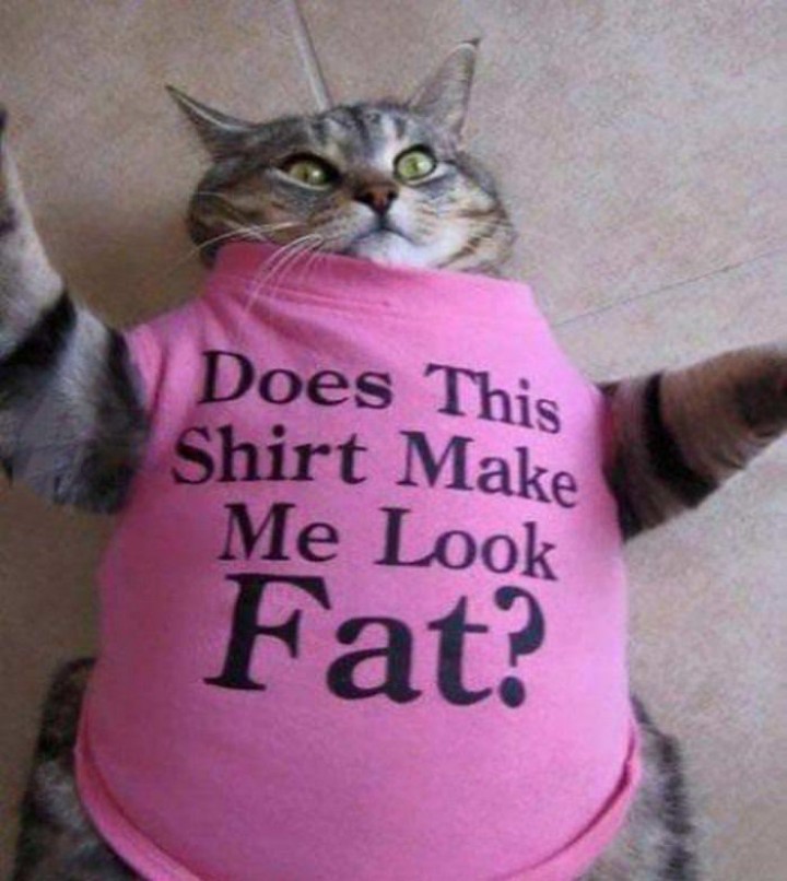 Attached Image