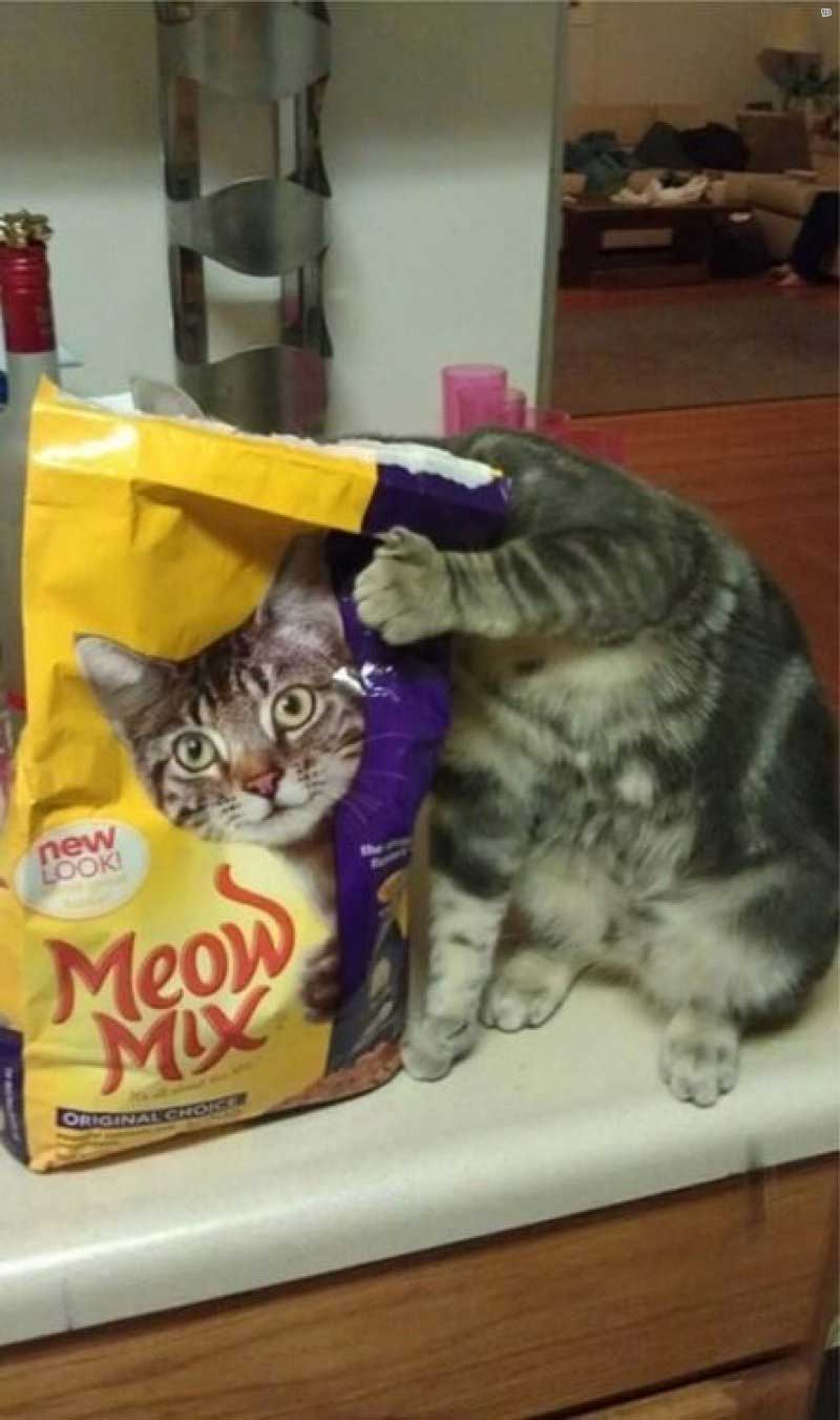 Attached Image