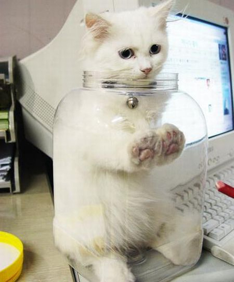 Attached Image