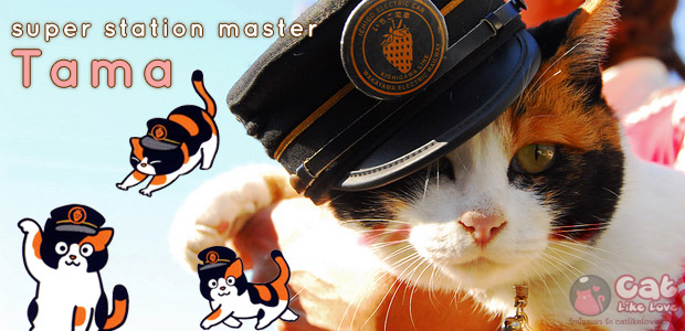 Attached Image