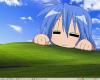 Attached Image