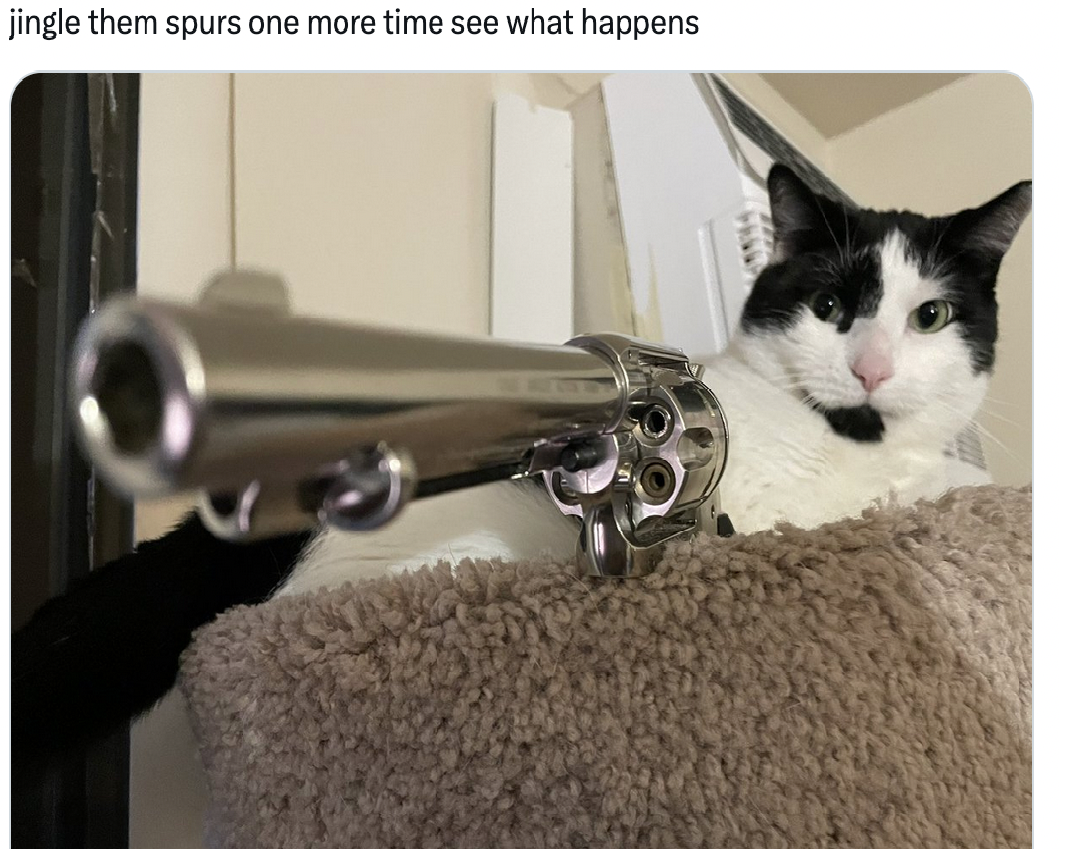 Attached Image