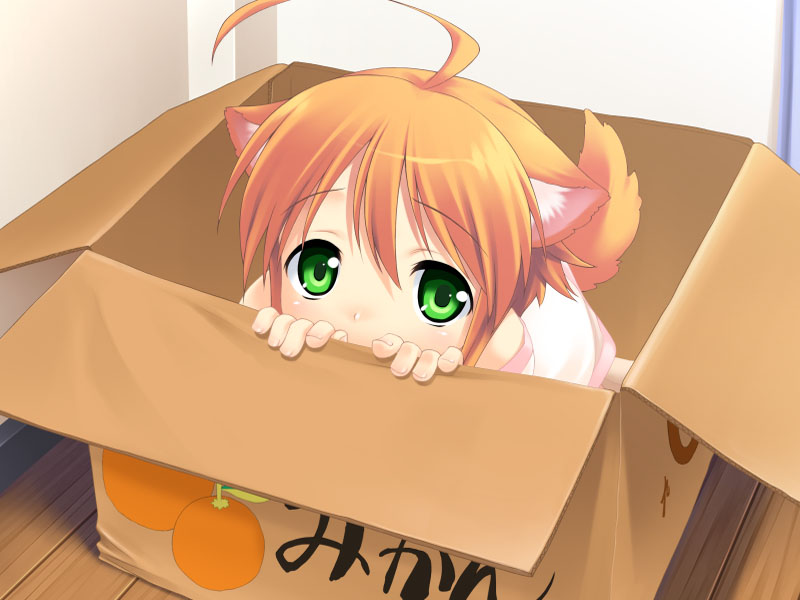 Attached Image