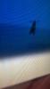 Attached Image