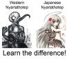 Attached Image